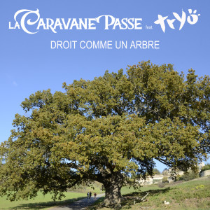Album Droit comme un arbre from La Caravane Passe