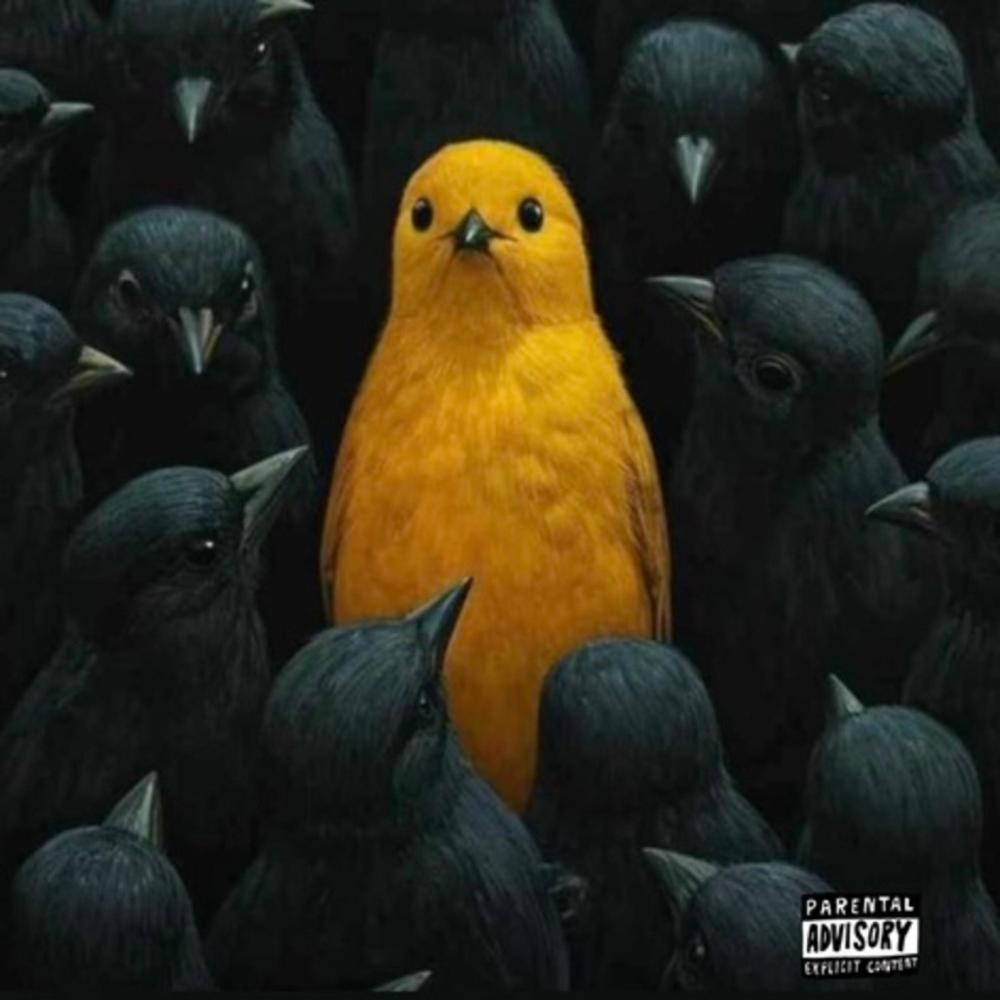 FREE (feat. Andy julc, Suc sexx & Westside boogie) (Explicit)