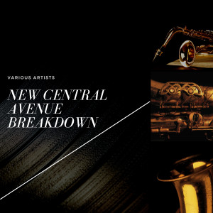 Various Artists的專輯New Central Avenue Breakdown
