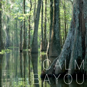 The White Noise Zen的專輯Calm Bayou