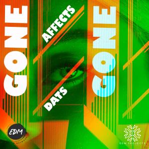 Listen to Gone (Radio Edit) song with lyrics from DATS