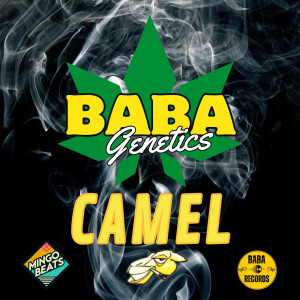 Camel的专辑Baba Genetics