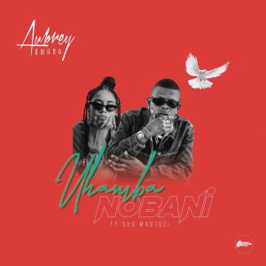 ดาวน์โหลดและฟังเพลง Uhamba Nobani พร้อมเนื้อเพลงจาก Aubrey Qwana