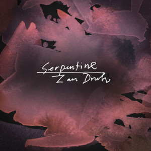 Listen to Zan Druh song with lyrics from Twelwe