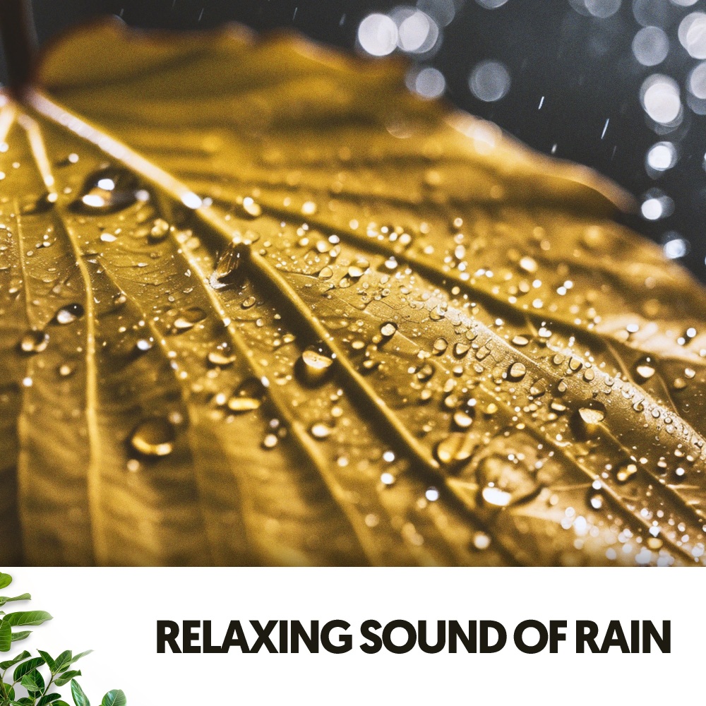 Rainfall Reverie
