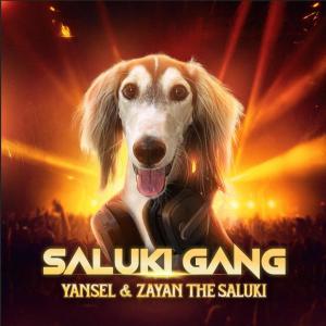 ProdbyYansel的專輯Saluki Gang (feat. Zayan The Saluki) (Explicit)