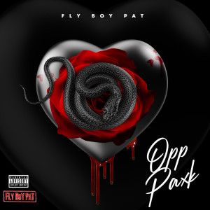Fly Boy Pat的專輯Opp Paxk (Explicit)