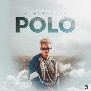 ดาวน์โหลดและฟังเพลง Polo พร้อมเนื้อเพลงจาก David Rone