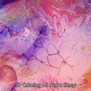 Album 57 Calming All Night Sleep oleh Sounds of Nature Relaxation