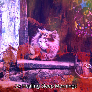 Thunderstorm的专辑27 Healing Sleep Mornings