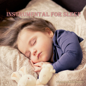 Listen to Theme1 song with lyrics from J.Roomy