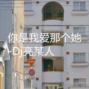 Listen to 你是我爱那个她 song with lyrics from Dj亮某人