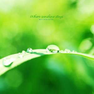 Melodioso的專輯Where sunshine stays