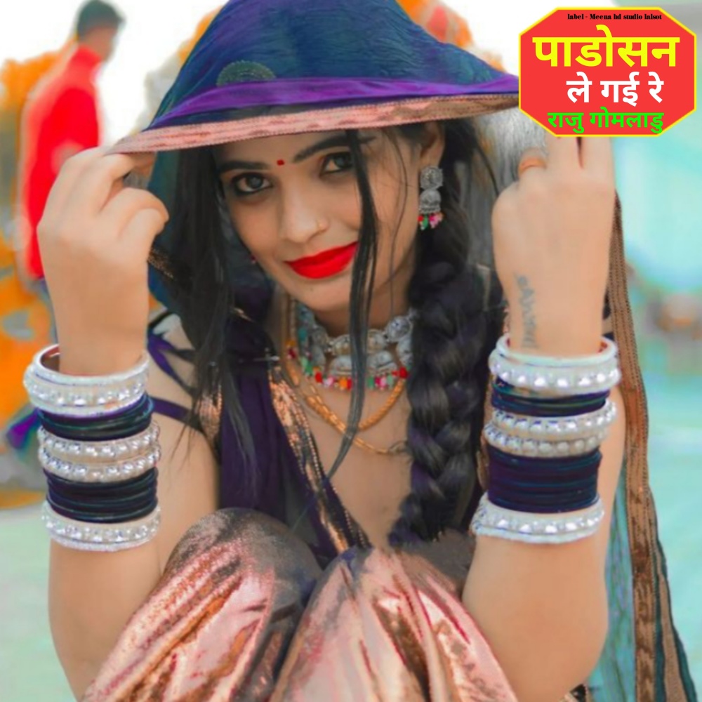 Padosan Le Gai Re Raju Gomladu (Meenawati new song)