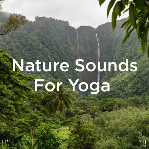 Listen to Blissful Music With Cricket Sounds song with lyrics from Deep Sleep