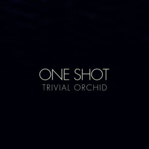ดาวน์โหลดและฟังเพลง One Shot พร้อมเนื้อเพลงจาก Trivial Orchid