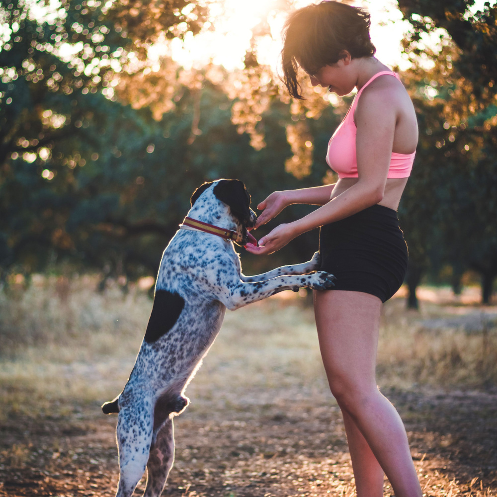 Serene Pet Explorations