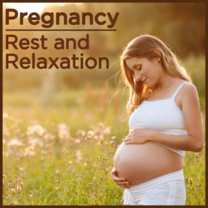 Pianissimo Brothers的專輯Pregnancy: Rest and Relaxation