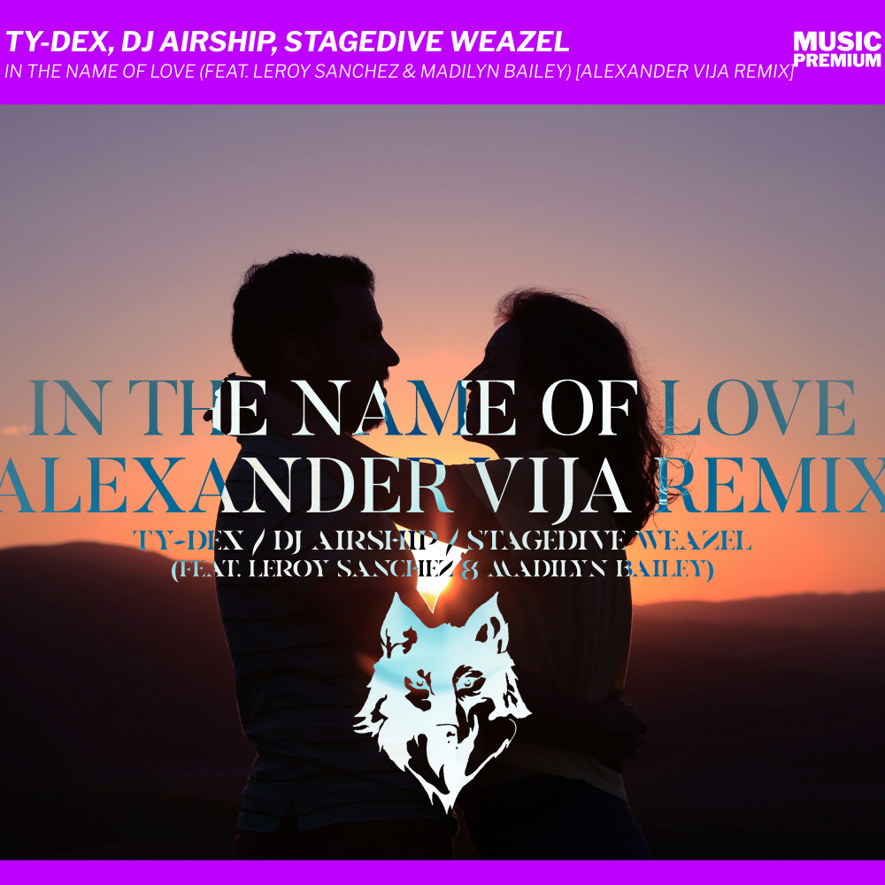 In the Name of Love (Alexander Vija Remix)