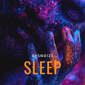 Gysnoize的專輯Sleep