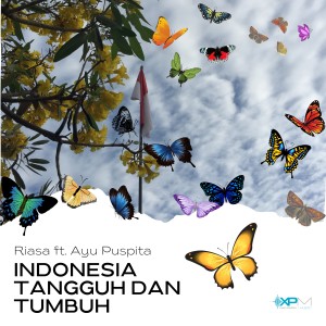 Listen to Indonesia Tangguh dan tumbuh song with lyrics from Nyoman P Riasa