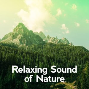ดาวน์โหลดและฟังเพลง Raining Outside พร้อมเนื้อเพลงจาก Relaxing Sounds of Nature