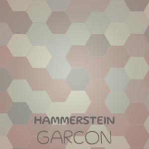 Dengarkan Hammerstein Garcon lagu dari Lamis Goki dengan lirik