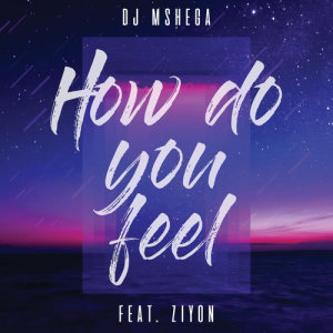 อัลบัม How Do You Feel ศิลปิน DJ Mshega