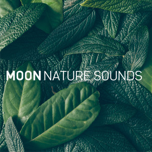 收聽Moon Tunes的Sandy Beach歌詞歌曲