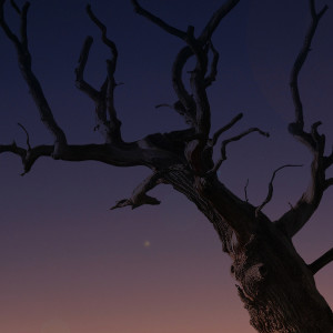 Listen to Fly into Eternity song with lyrics from Study Music Library