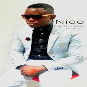 Album Ndimile (feat. Steven Mthombeni) from Nico