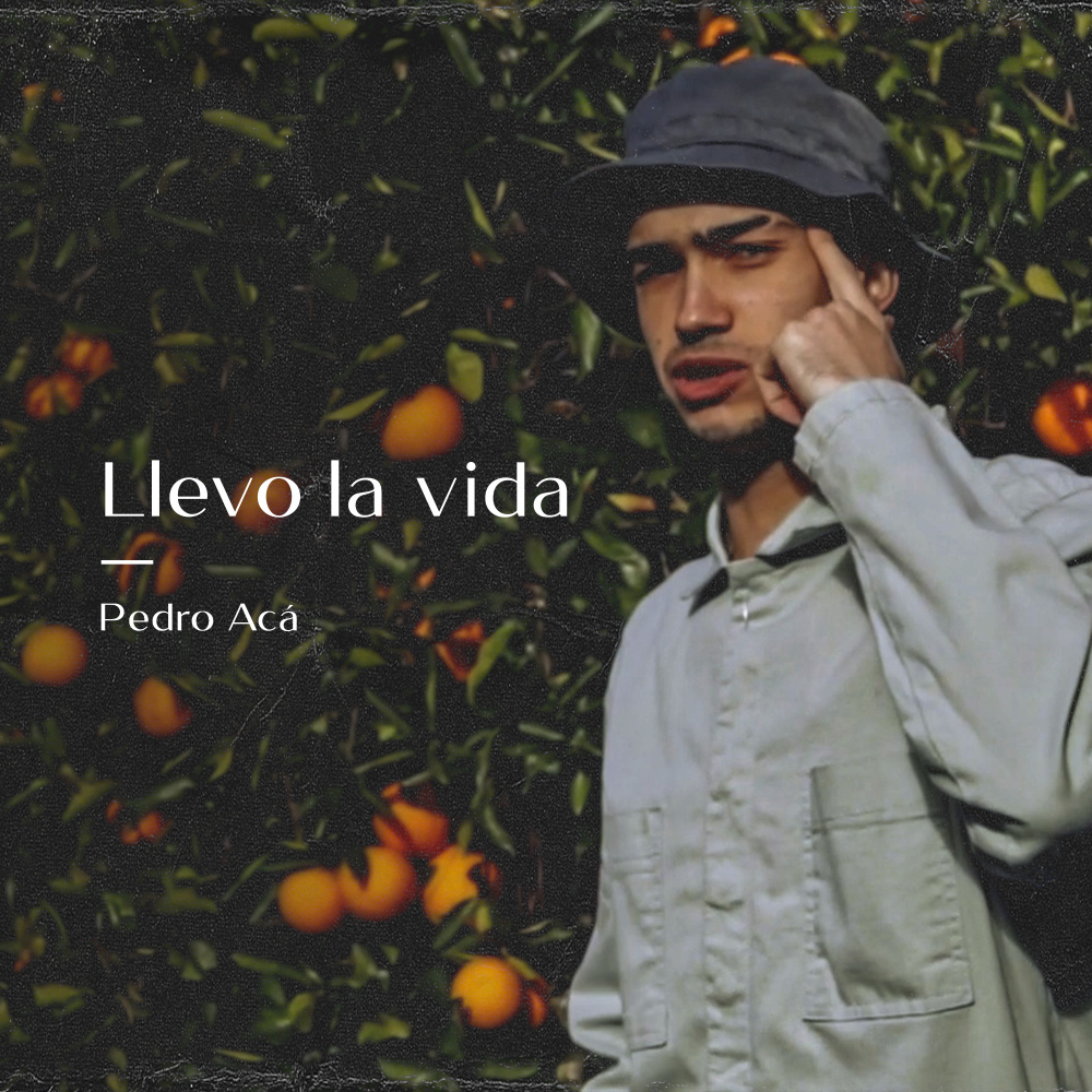 Llevo la Vida