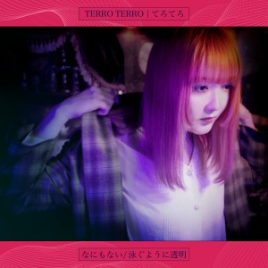 收听TERRO TERRO的なにもない歌词歌曲