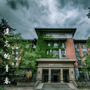 Album 遗忘的青春 from 刘绪国
