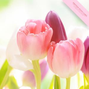 Listen to Rest Of My Mind song with lyrics from Melodious