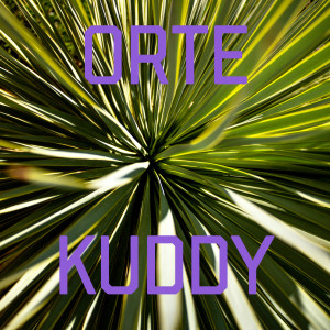 Listen to Scheffau song with lyrics from Küddy