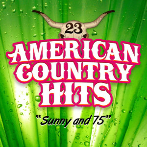收聽American Country Hits的Sunny and 75歌詞歌曲