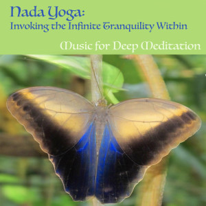 Listen to Om Lokah Samastah Sukhino Bhavantu: May Peace and Contentment Prevail song with lyrics from Music for Deep Meditation
