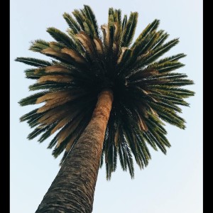 收听Relaxing Music的Pure Relaxation Music for Sleeping歌词歌曲