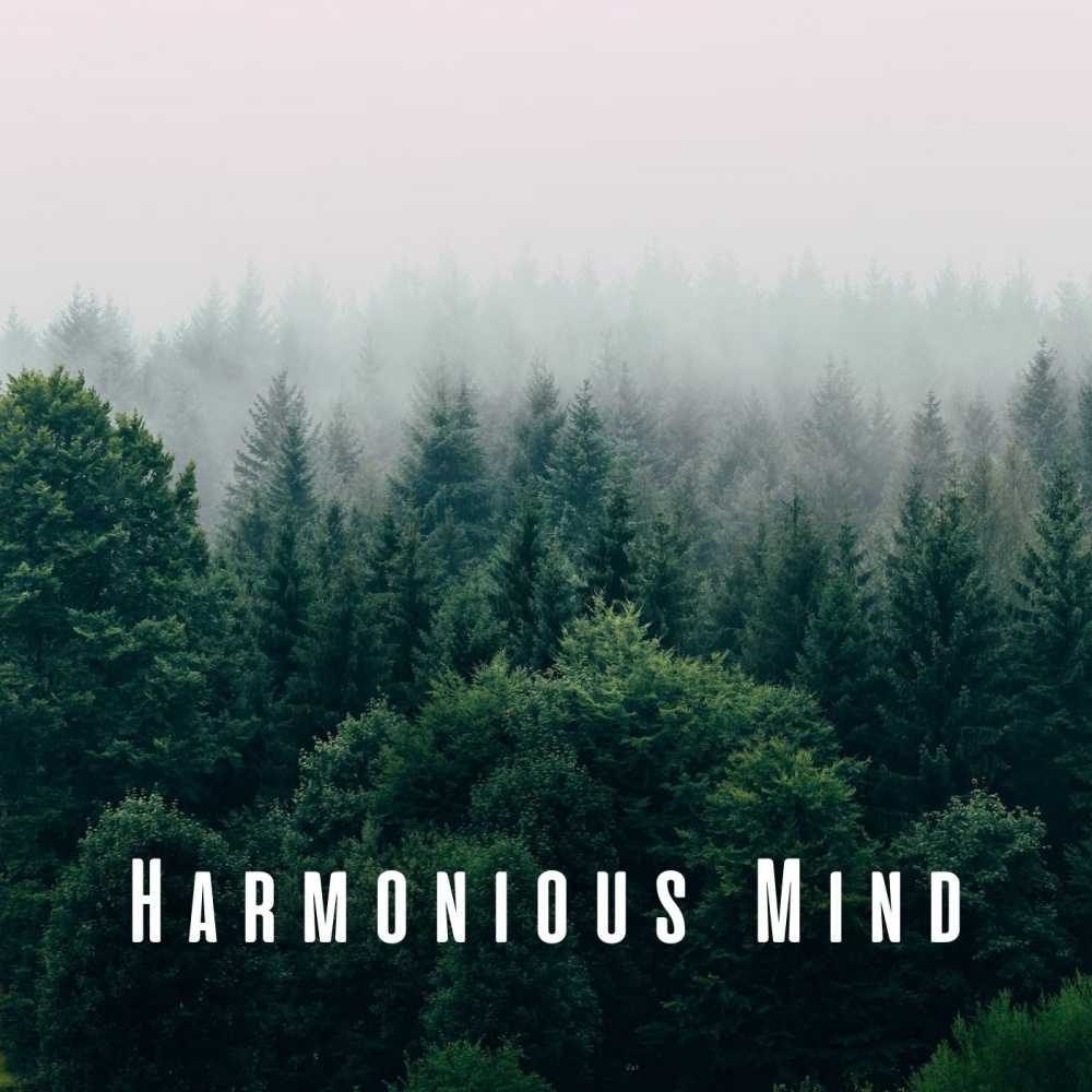 Nature's Focus Sonata