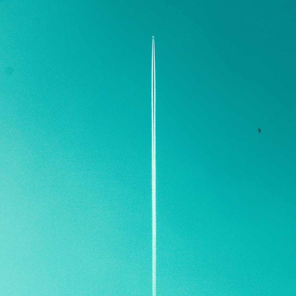 Vuela