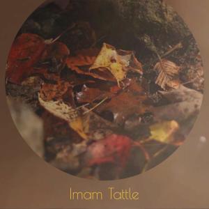 Album Imam Tattle from Various