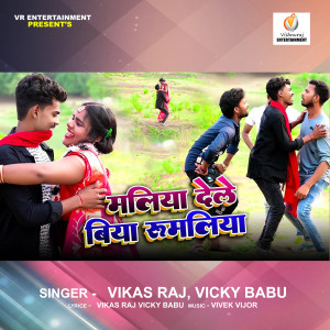 ดาวน์โหลดและฟังเพลง Maliya Dele Biya Rumaliya พร้อมเนื้อเพลงจาก Vikas Raj