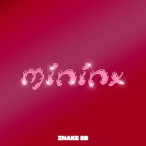ดาวน์โหลดและฟังเพลง MININX (feat. JPMRECORDS) พร้อมเนื้อเพลงจาก NakeSB