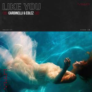 Listen to Like You song with lyrics from EdLez