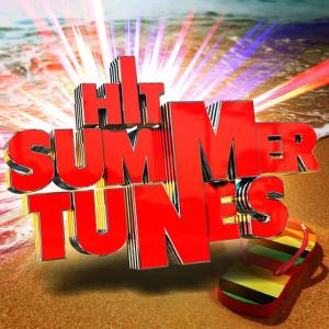Party Mix All-Stars的專輯Hit Summer Tunes