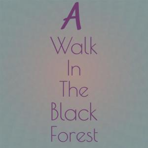 Dengarkan lagu I'm a Fool to Care nyanyian Les Paul & Mary Ford dengan lirik