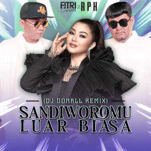 Fitri Carlina的專輯Sandiworomu Luar Biasa (DJ Donall Remix)