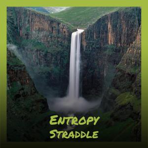 Various的专辑Entropy Straddle