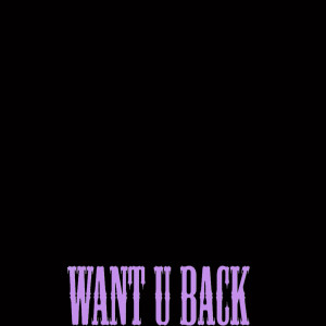 อัลบัม Want U Back - Single (Cher Lloyd Tribute) ศิลปิน I Want U Back